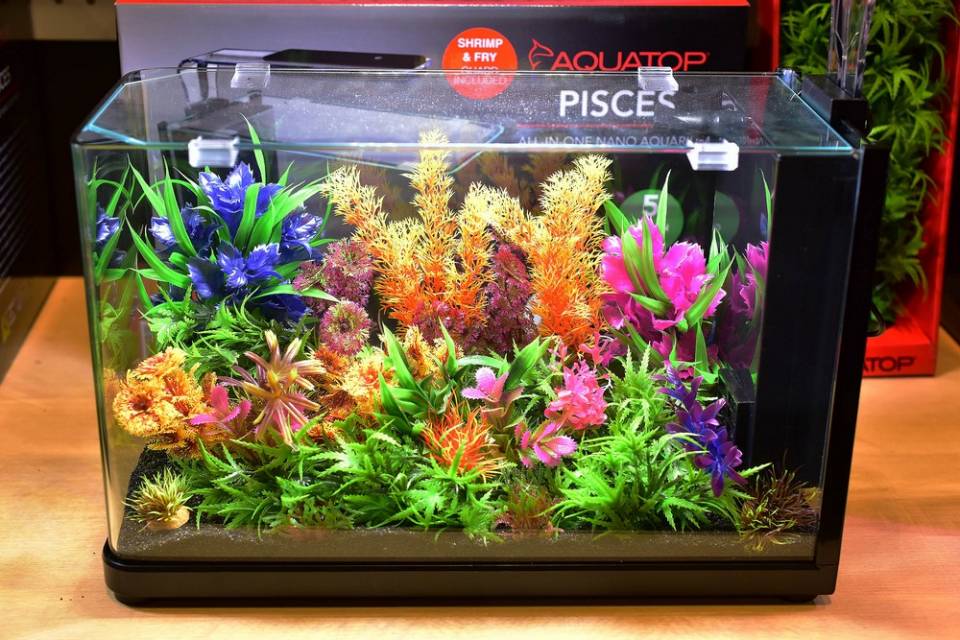 PISCES 5 Gallon Modern Bullet Shaped Glass Aquarium Kit Aquatop